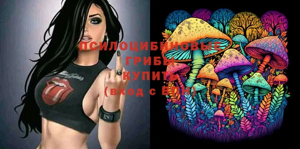 spice Нягань