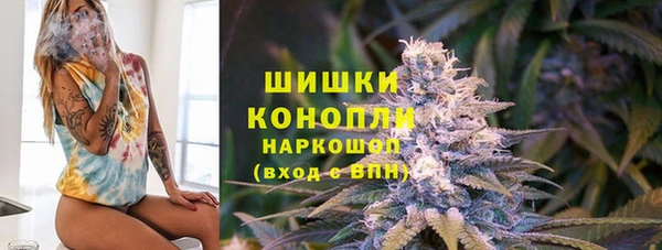 spice Нягань