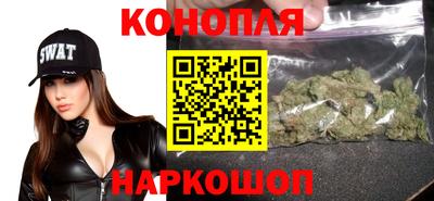 скорость Кингисепп