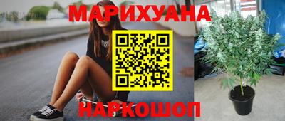 спиды Кимры