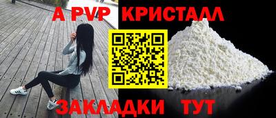стаф Кинель