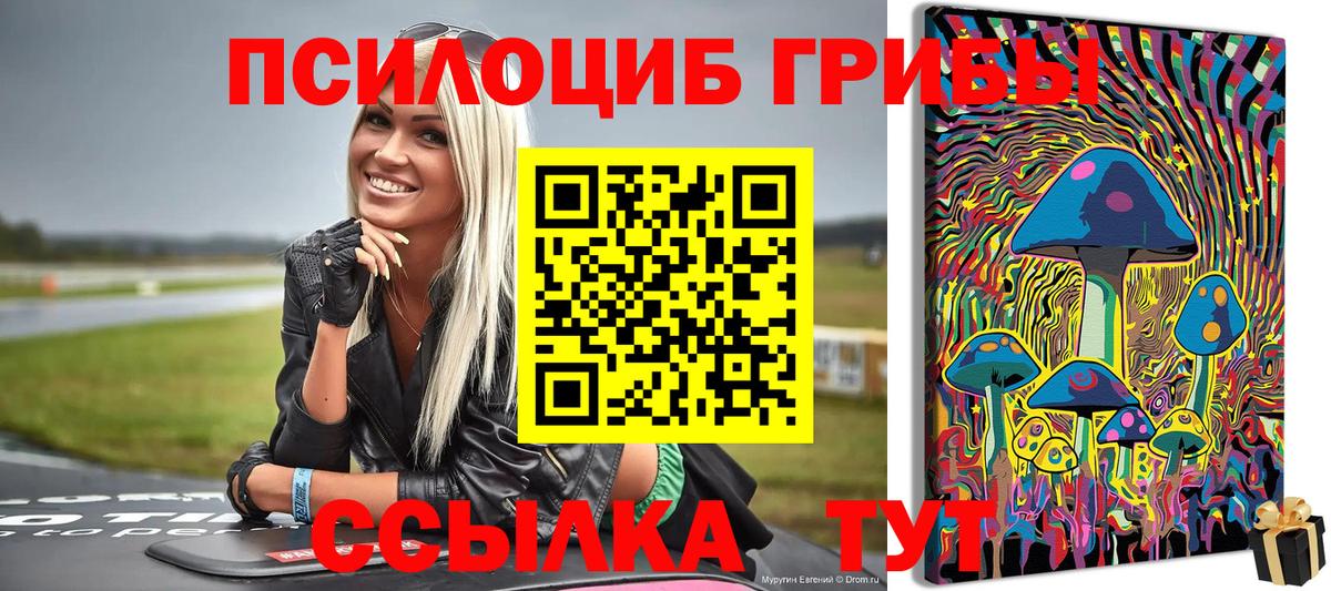 Галлюциногенные грибы GOLDEN TEACHER  Вход с VPN  как найти закладки  Тюмень 