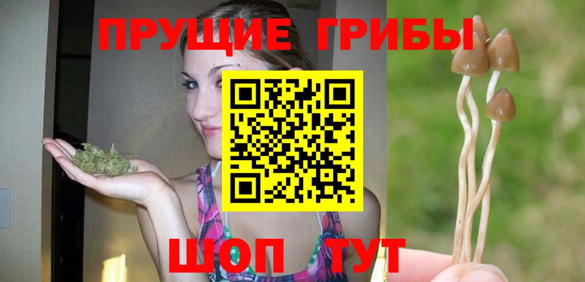 Галлюциногенные грибы ЛСД Тюмень